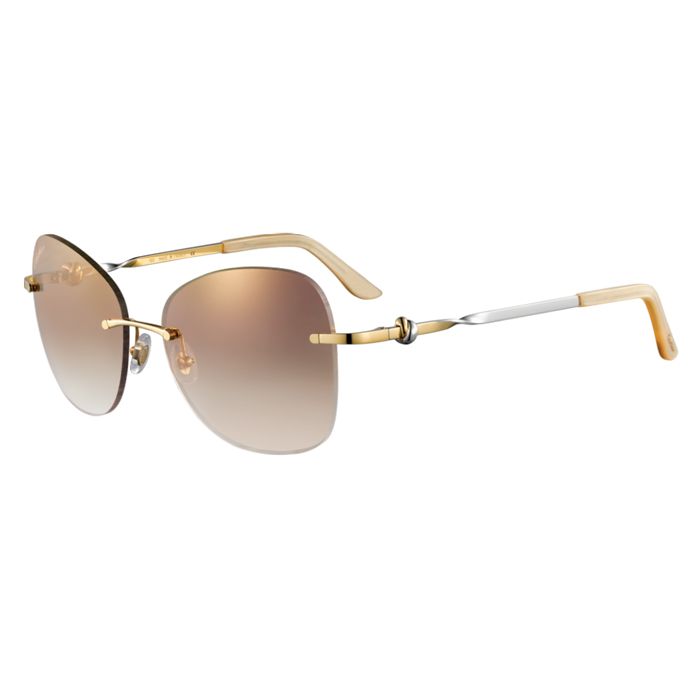 CARTIER EYEWEAR カルティエ アイウェア ESW00049