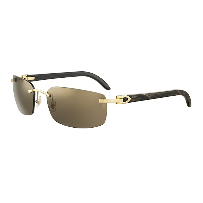 CARTIER SUNGLASS カルティエサングラス T8200757