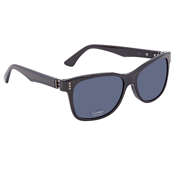 CARTIER SUNGLASS カルティエサングラス T8200880