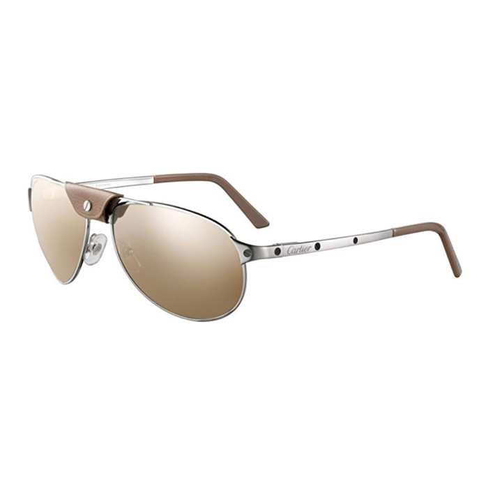 CARTIER SUNGLASS カルティエサングラス T8200951 6188194