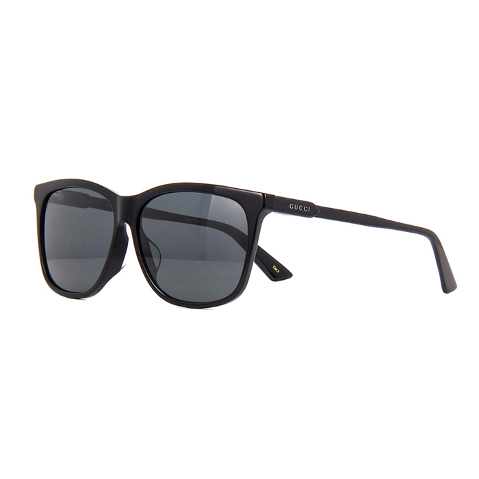 GUCCI SUNGLASS グッチ サングラス GG0495SA 001