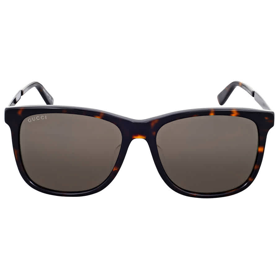 GUCCI SUNGLASS サングラス GG0078SK ACETATE 004