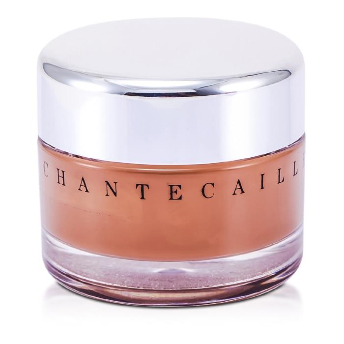 Chantecaille シャンテカイユ フューチャースキンオイルフリージェルファンデーション #サンタン 656509014101