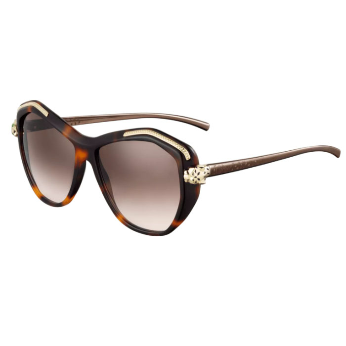 CARTIER EYEWEAR カルティエ アイウェア T8201076