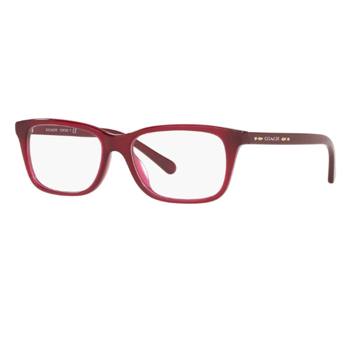 COACH EYEWEAR  コーチアイウェア  0HC6136U  5526