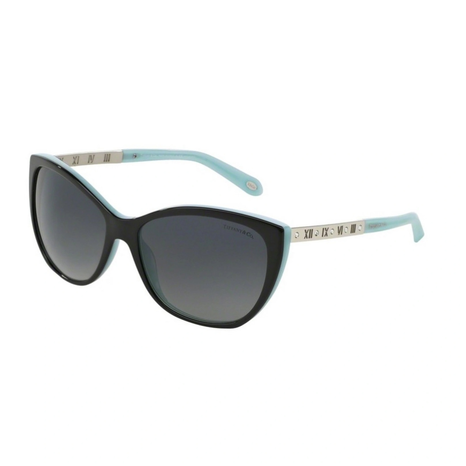 ティファニー TIFFANY レディース サングラス 0TF4094BF ACETATE 8055T3 59