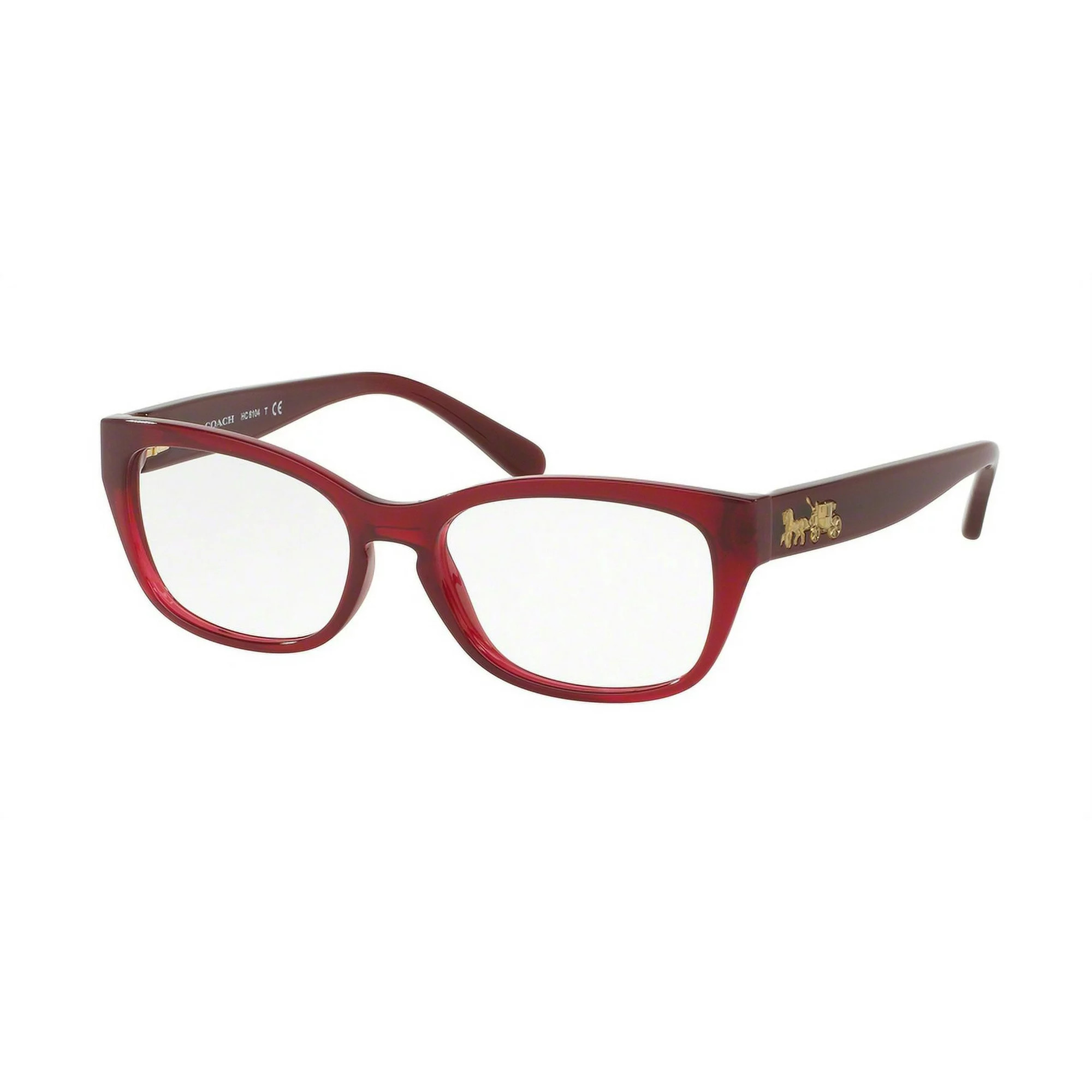 COACH EYEWEAR  コーチアイウェア  0HC6104F  5450