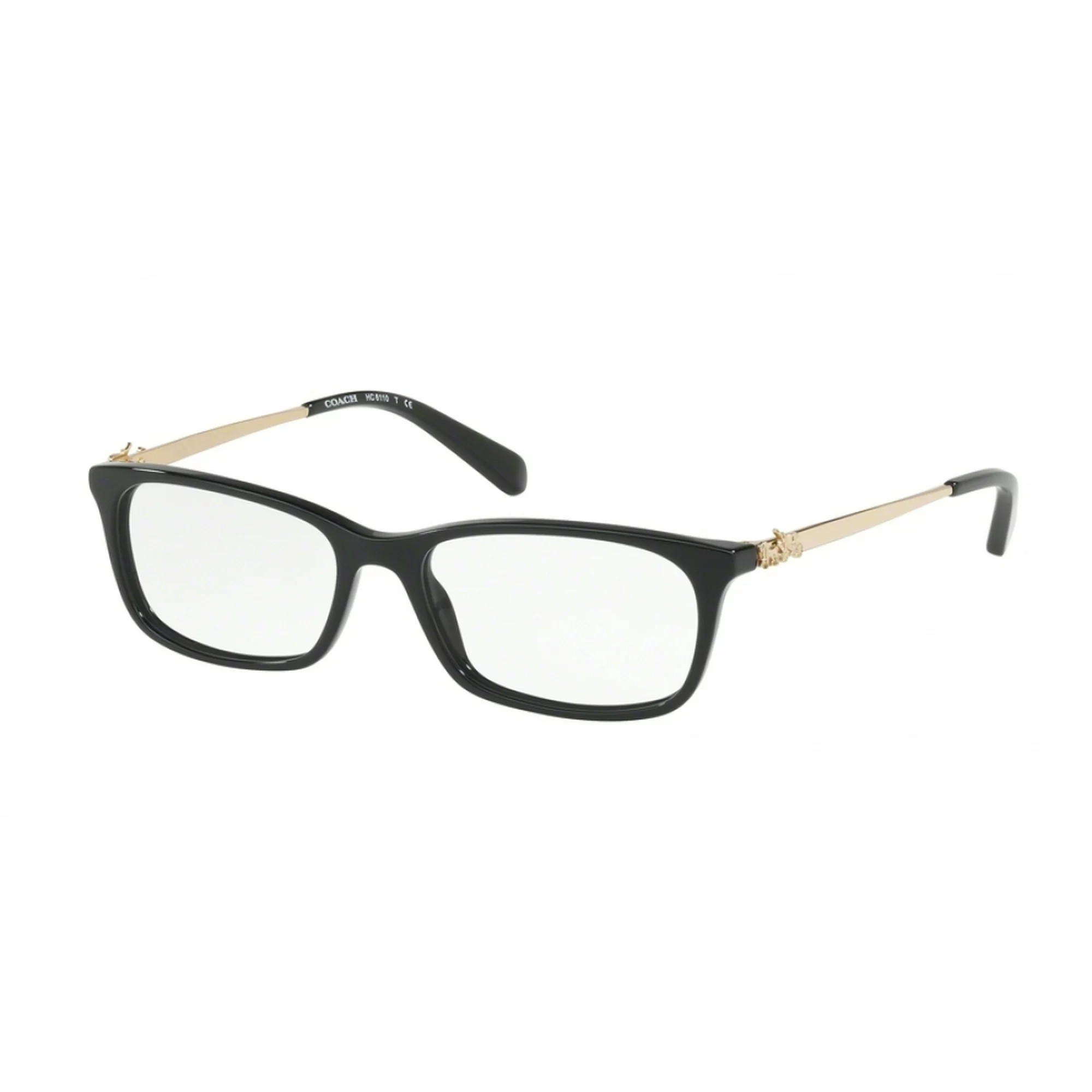 COACH EYEWEAR  コーチアイウェア  0HC6110F  5486