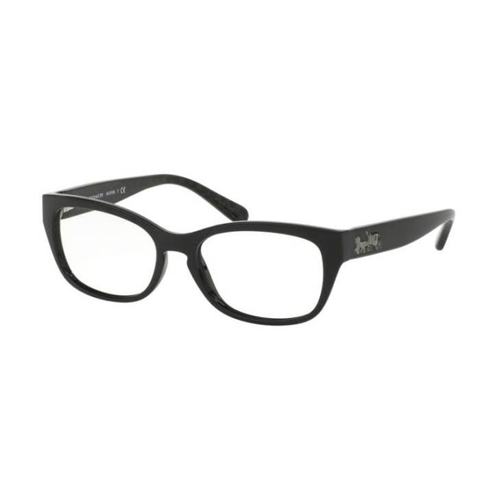 COACH EYEWEAR  コーチアイウェア 0HC6104F 5420