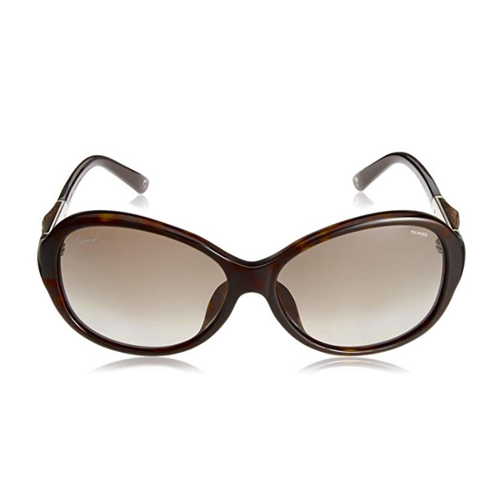 GUCCI SUNGLASS グッチ サングラス GG3684F WR9 LA